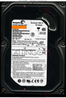 Seagate Barracuda 7200.10 ST3160215A 9CY012-305 06231 TK 3.AAD PATA front side