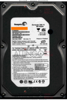 Seagate Barracuda 7200.10 ST3250820A 9BJ03E-307 08386 TK 3.AAF PATA front side