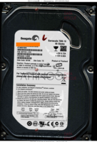 Seagate Barracuda 7200.10 ST380815AS 9CY131-313 09196 TK 4.AAB SATA front side