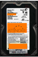 Seagate Barracuda 7200.8 ST3200826A 9Y7289-301 05391 WU 3.02 PATA front side