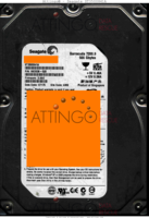 Seagate Barracuda 7200.9 ST3500841A 9BD038-520 07175 AMK 3.AAE PATA front side
