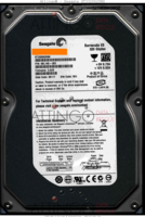 Seagate Barracuda ES ST3320620NS 9BL14G-303 09117 WU 3.AEK SATA front side