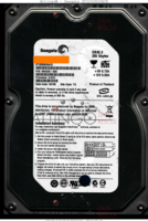 Seagate ST3250820ACE ST3250820ACE 9BK03E-500 08155 TK 3.ACD PATA front side