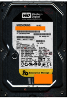 Western Digital WD RE3 WD2502ABYS-70B7A0 484429-001 20 NOV 2010 Thailand HPG2 SATA front side